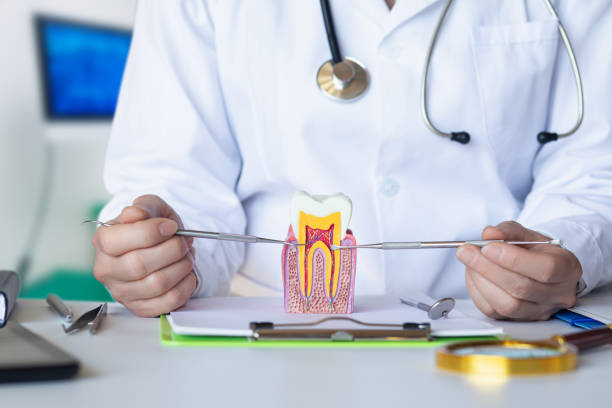 Best Emergency Dentist for Special Needs Patients in Kenmar, PA